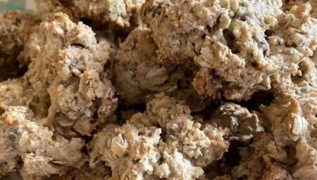 Oatmeal Chocolate Chip Lactation Cookies